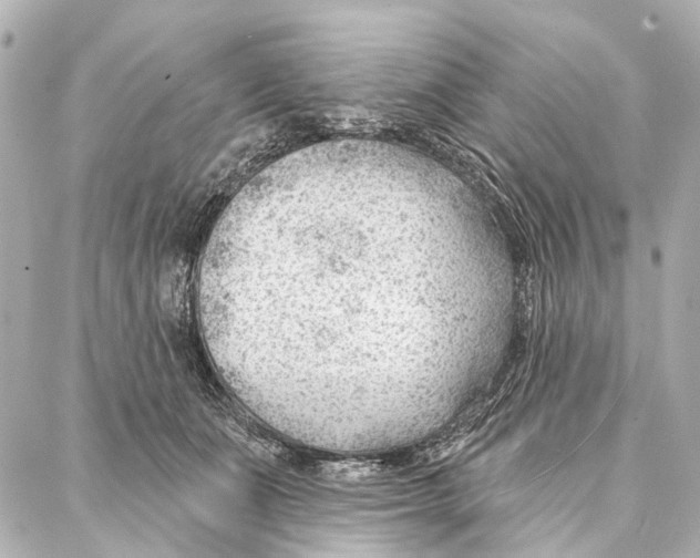 X0000086980511200705141719