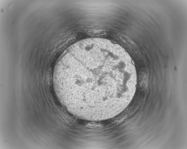 X0000086980515200705141719