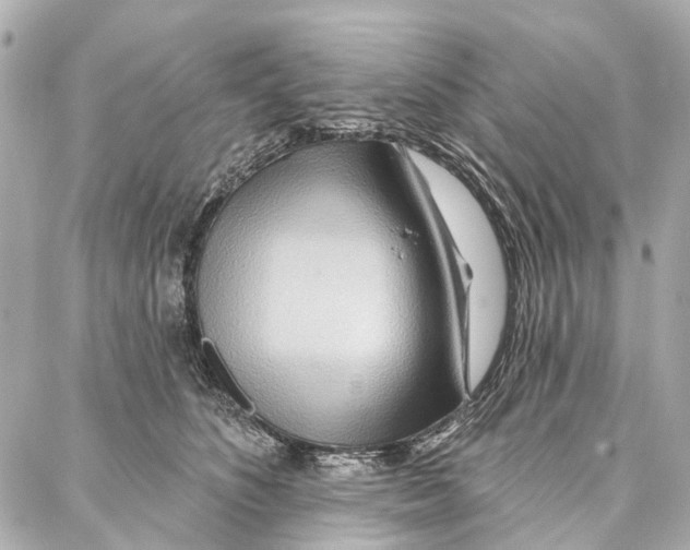 X0000086980516200705141719