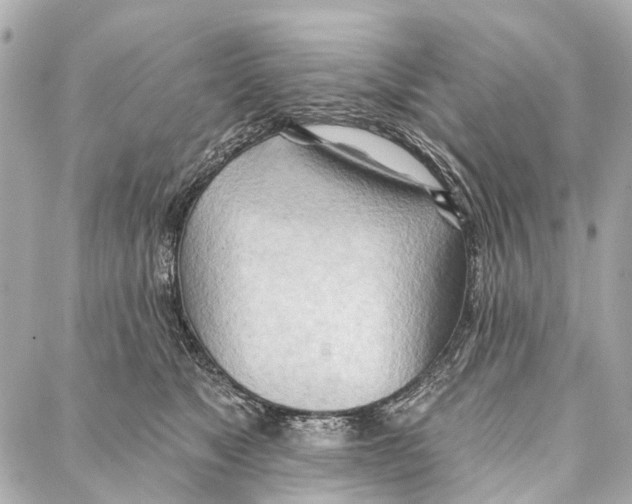 X0000086980517200705141719