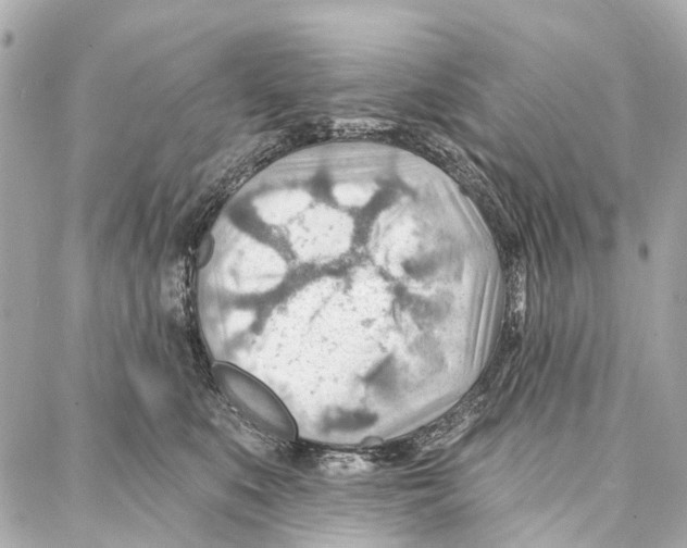 X0000086980519200705141719