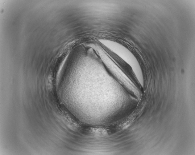 X0000086980520200705141719