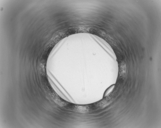 X0000086980522200705141719