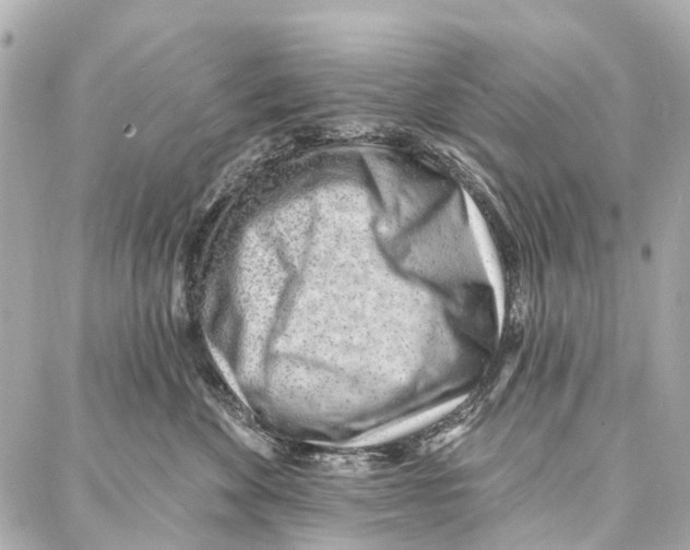 X0000086980524200705141719