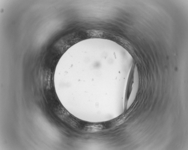 X0000086980525200705141719