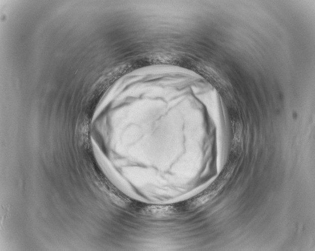 X0000086980526200705141719