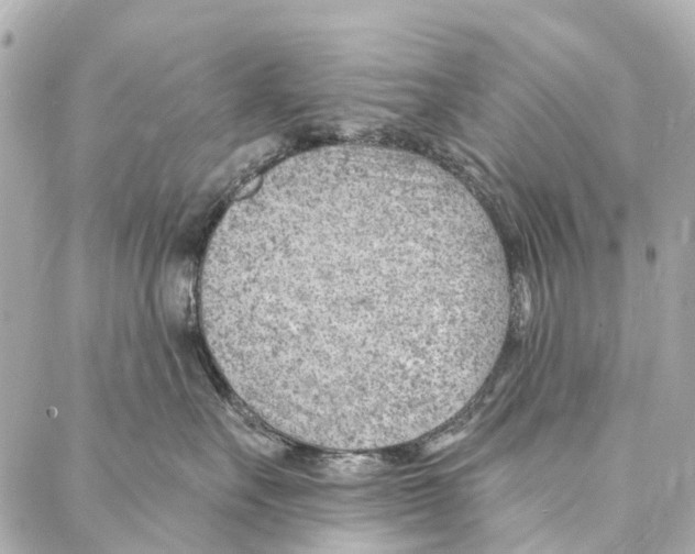 X0000086980527200705141719