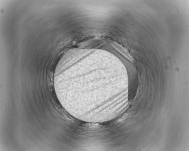 X0000086980528200705141719