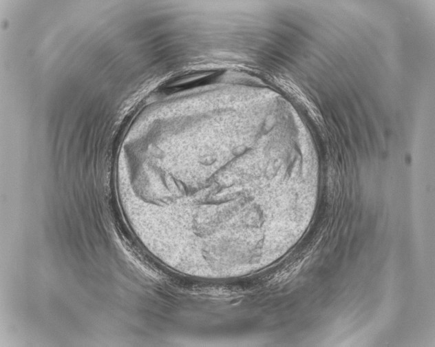 X0000086980533200705141718