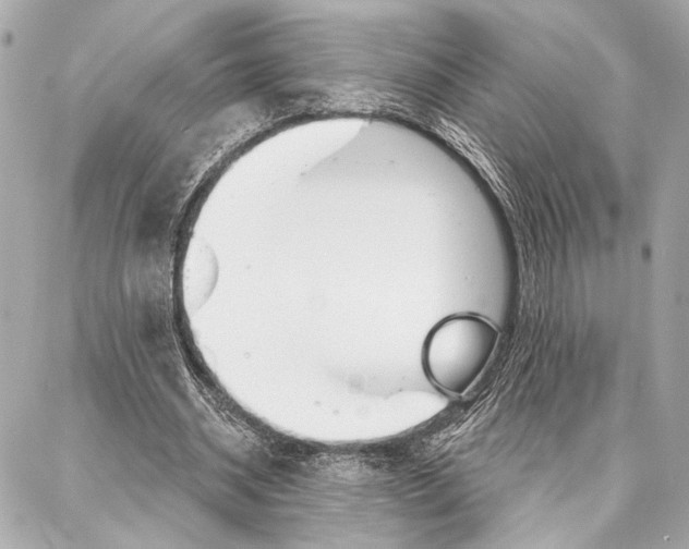 X0000086980534200705141718