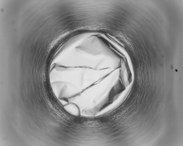 X0000086980536200705141718