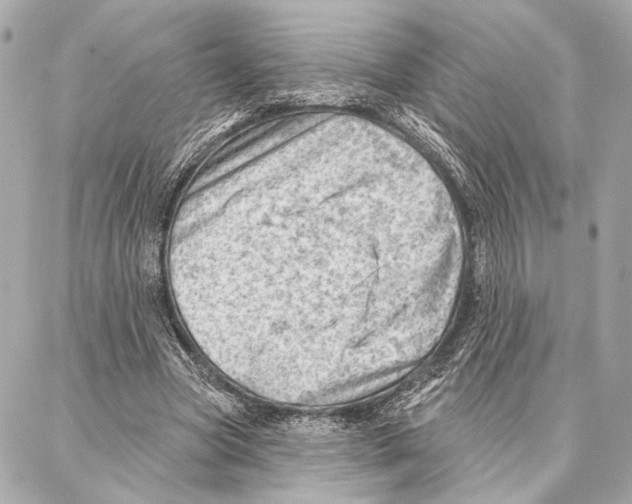 X0000086980537200705141718