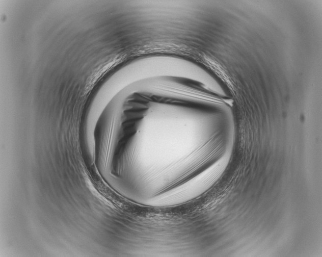 X0000086980538200705141718