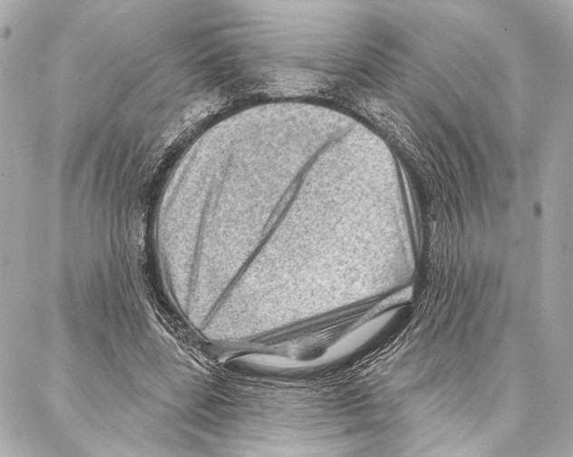 X0000086980539200705141718