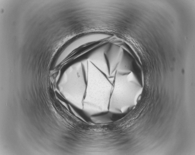 X0000086980540200705141718