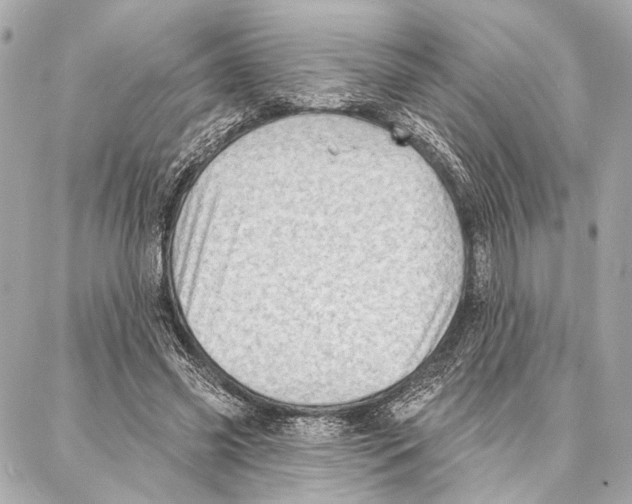 X0000086980541200705141718