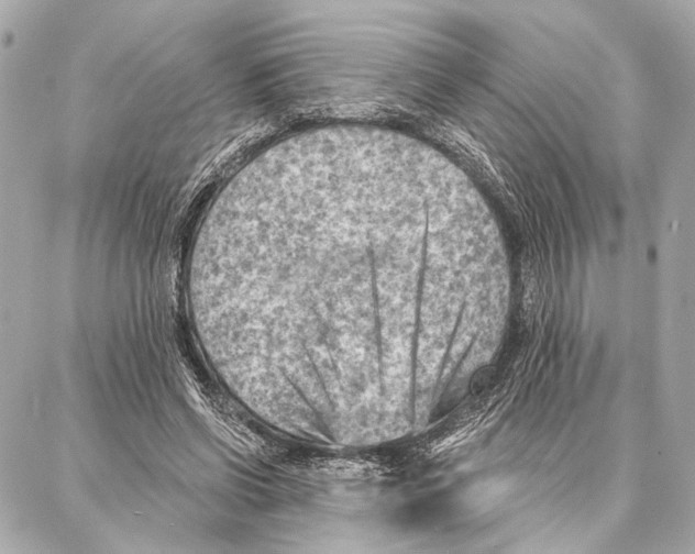 X0000086980542200705141718