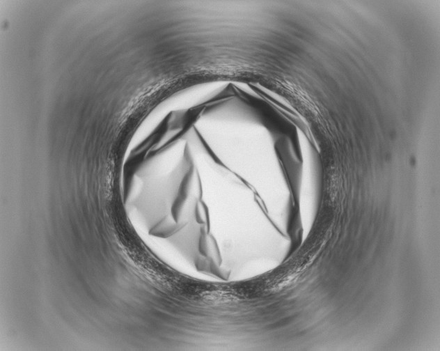 X0000086980544200705141718