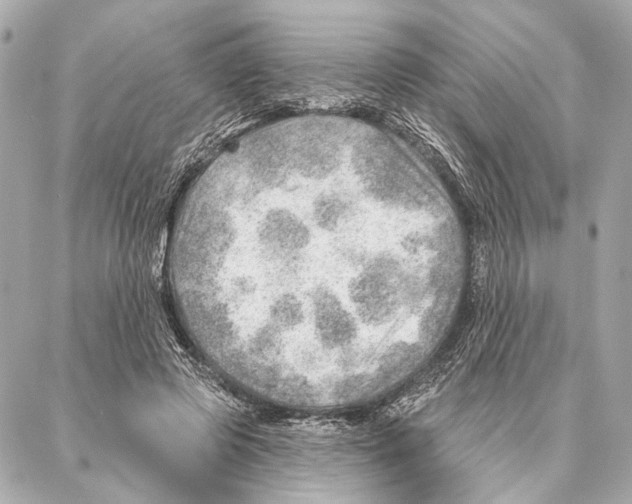 X0000086980545200705141718