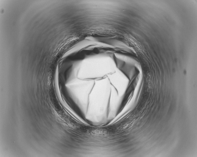 X0000086980546200705141718