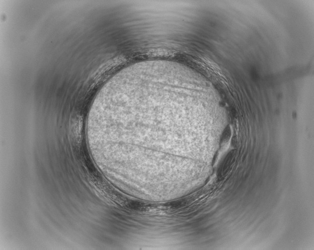 X0000086980550200705141718