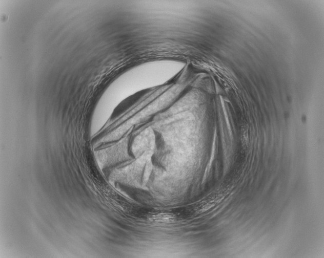 X0000086980551200705141718