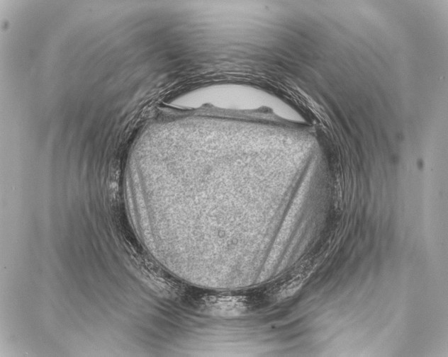 X0000086980553200705141718