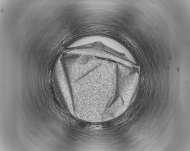 X0000086980554200705141718