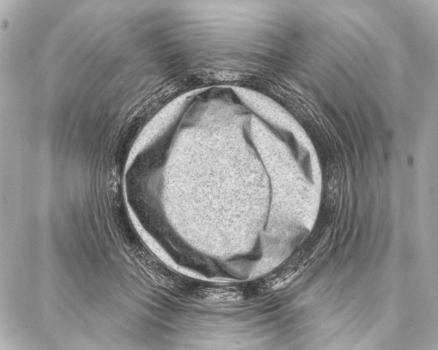 X0000086980555200705141718