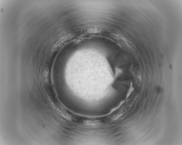 X0000086980556200705141718