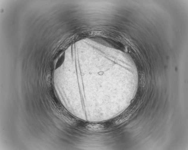 X0000086980557200705141718