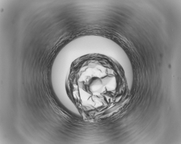 X0000086980558200705141718