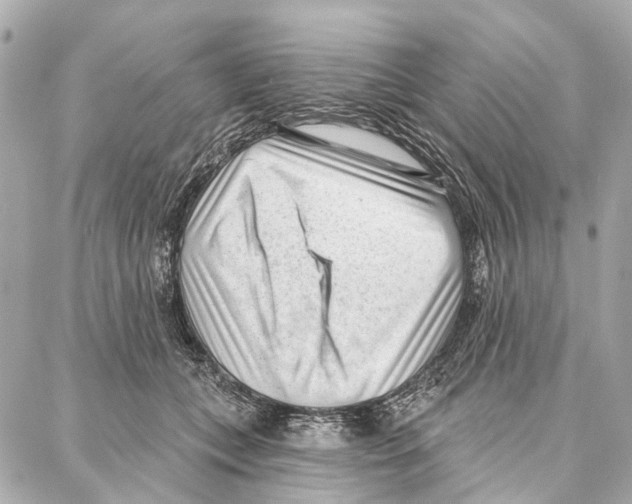 X0000086980559200705141718