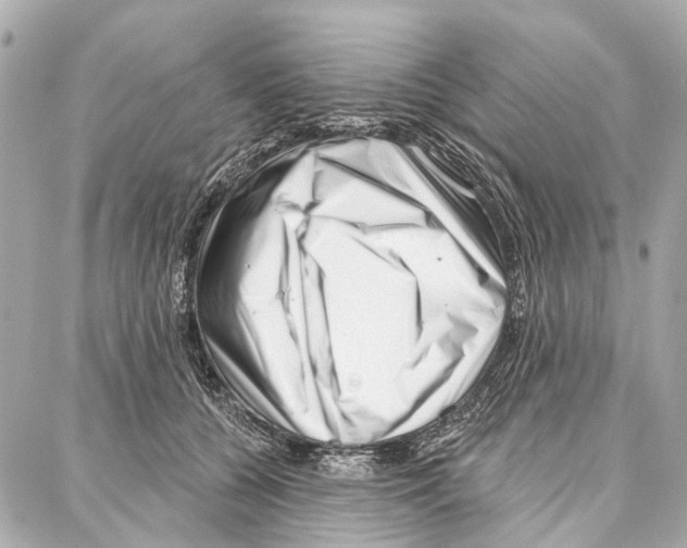 X0000086980560200705141718