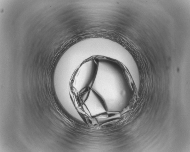 X0000086980562200705141719