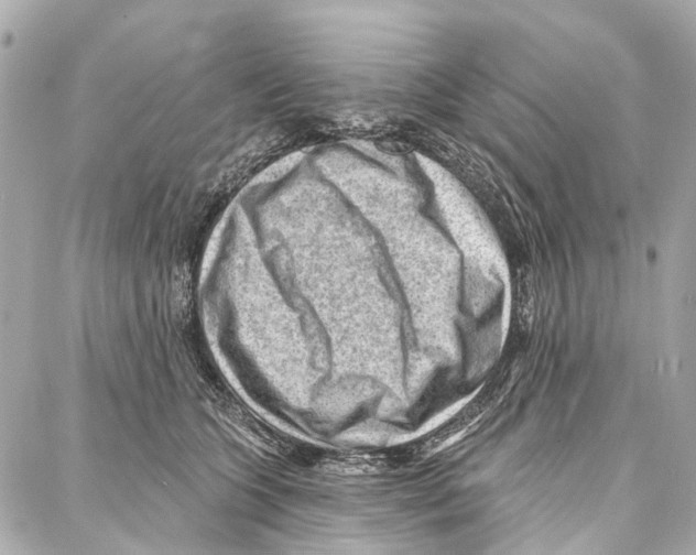 X0000086980563200705141719