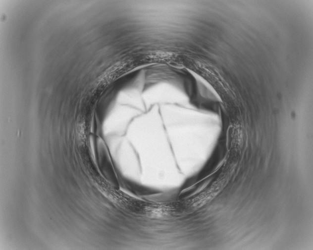 X0000086980564200705141719