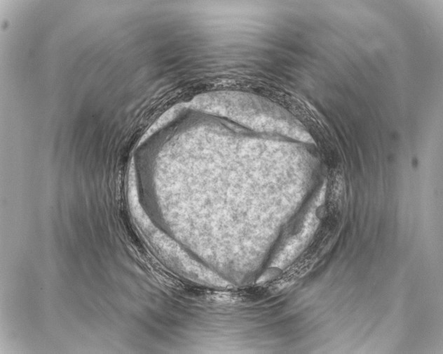 X0000086980565200705141719