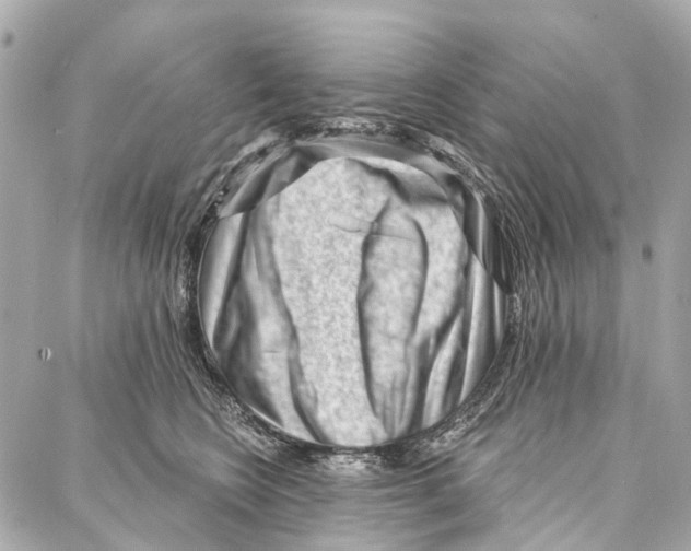 X0000086980566200705141719