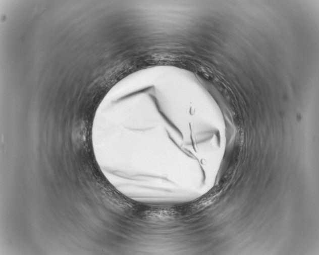 X0000086980567200705141719