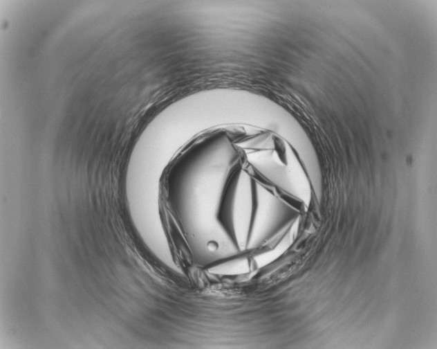 X0000086980568200705141719