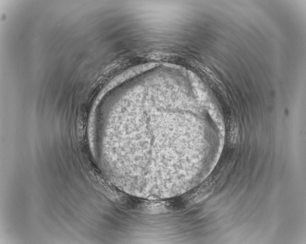 X0000086980569200705141719