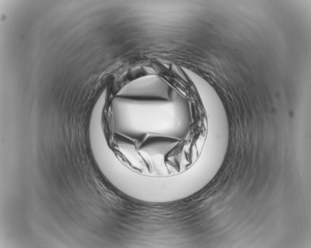 X0000086980570200705141719