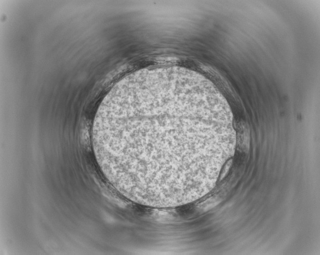 X0000086980573200705141719