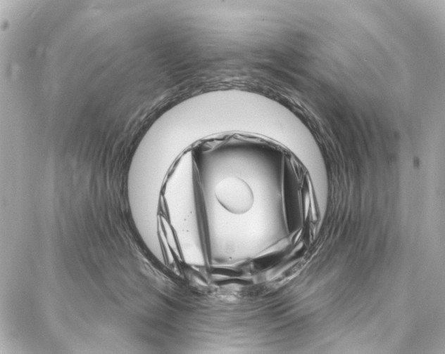 X0000086980574200705141719