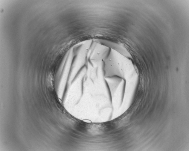 X0000086980575200705141719