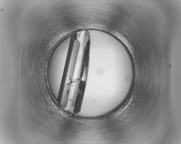 X0000086980577200705141718