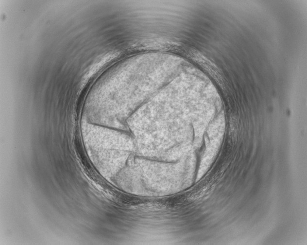 X0000086980578200705141718