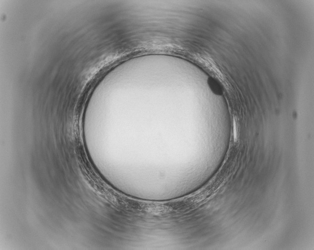 X0000086980579200705141718