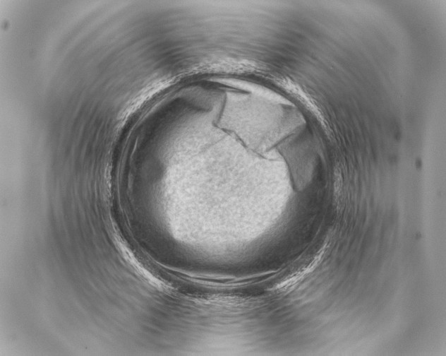 X0000086980581200705141718